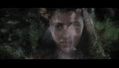 A demon who seeks to create eternal night by destroying the last of the unicorns and marrying a fairy princess is opposed by the forest boy jack and his elven allies in this magical fantasy. Top 30 Legend 1985 Gifs Find The Best Gif On Gfycat