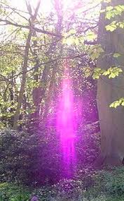 17 photos qui prouvent que la nature fait ses propres photoshop. 35 Meilleures Idees Sur Esprit De La Nature En 2021 Esprit De La Nature Tronc D Arbre Arbres Etranges