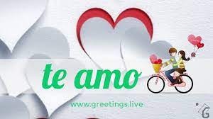 I Love You In Spanish Te Amo Love You Love Proposal Messages My Love