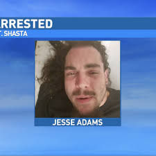 Police: Man lies about identity, gets arrested for car theft