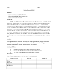 Check spelling or type a new query. Plant And Animal Cell Lab
