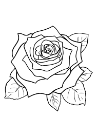 If you're not sure what kind of roses to send your special someone check out these rose color meanings for every type of bouquet. Coloring Page Rose Free Printable Coloring Pages Img 29751