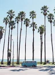 Summer Palms Travel California Dreaming Places To Go