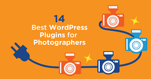 For example, if you have enabled minify, you can decide whether css and javascript is minified. 14 Best Wordpress Plugins For Photographers Hostgator