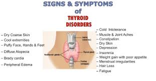 You might hate coriander (read dhaniya) in your food but its juice has amazing benefits for your hair as it promotes hair growth. Coriander Naturally Heals The Thyroid Fitness Health Forever