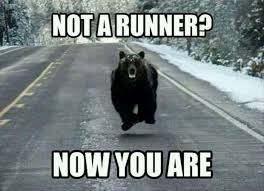 Bear Meme Running Wild Funny Pictures Humor Funny