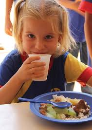 MODALIDADES DE COMPRAS PÚBLICAS DE ALIMENTOS DA AGRICULTURA FAMILIAR NO  BRASIL