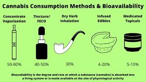 The convective method avoids the charring associated with nearly every other method, meaning that convective vaporization creates the purest. Cannabis Consumption Methods And Bioavailability Greenway Magazine