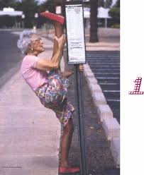 Résultat de recherche d'images pour "les etirements du matin+gif+drole"