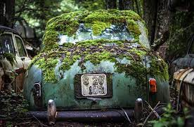 15 Eerie Pictures Of A Classic Car Graveyard In Sweden Classic Cars Abandoned Cars Graveyard