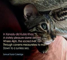 Alliteration in the above excerpts are, xanadu did. Pin On Maire S Memes