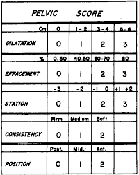 Image result for Bishop Score