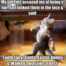 Pin By Anita Schrock On Funnies In 2020 Funny Animal Pictures Funny Animal Memes Animal Memes