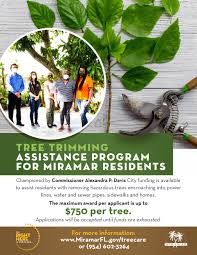 The crew at floyd tree service has cut down trees, ground stumps, cut fire wood, and cleared between planted pines on our farm. Tree Care Miramar Fl