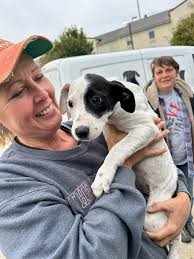 It was a great day and such a pleasure to help this crew