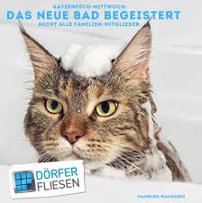The railway line cuts through the wandsbeker gehölz (wandsbek wood) here. Dorfer Fliesen Hamburg Construction Company Hamburg Germany 1 Review 728 Photos Facebook