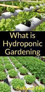 Here's al you need to know to be successful have you ever thought about starting a vertical hydroponic garden? What Is Hydroponic Gardening Hydroponics Diy Hydroponics Hydroponics For Beginners I Indoor Vegetable Gardening Hydroponic Gardening Indoor Hydroponics