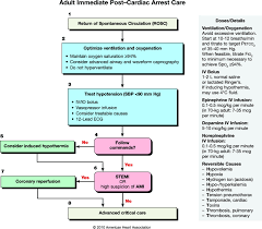 The nursing management is based on solid theoretical grounds; Part 9 Post Cardiac Arrest Care Circulation