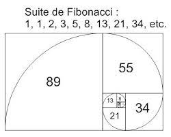 Suite De Fibonacci Est Elle Utile Ou Seulement Mystique Gaiamamart