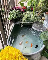 There are many exemplary designs for the creation of fish pondsalong with the minimalist. Aquarium Freaks On Instagram We Are Absolutely In Love With This Pond Setup What An Awesome Setup What Fish Pond Gardens Ponds Backyard Pond Design