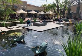 Pond islands have lots of benefits. Fashion Island Mall