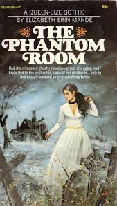 Elizabeth Erin Mande The Phantom Room Gothic Novel Gothic Romance Books Gothic Books