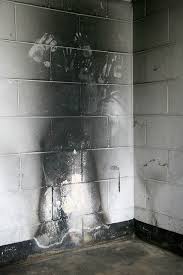 Mapped the site of dantrell's murder, i found that it was only about. Cabrini Green East Building Interiors