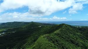 We've got 2 easy trails in yambaru national park ranging from 2.9 to 5.3 km and from 27 to 324 meters above sea level. Why Northern Okinawa Is A Post Pandemic Travel Paradise