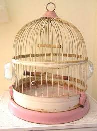 Great prices on love birds decor & more. Find Some Different Sized Bird Cages In A Pet Or Craft Store Add Artificial Vines And Moss Cute Mushroom Birds An Bird Cage Cute Pink Stuff Vintage Bird Cage