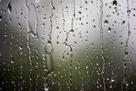 Stock video footage | 40,306 clips. Rain Water Droplets 1080p 2k 4k 5k Hd Wallpapers Free Download Wallpaper Flare