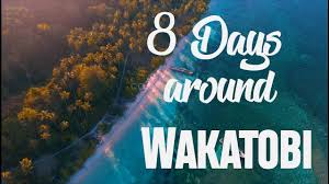 Arti 823 bahasa gaul 40 bahasa gaul di facebook berikut : Wakatobi Tourism The Official Tourism Website Of Wakatobi