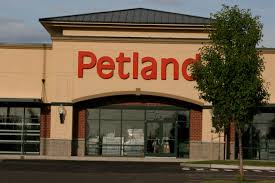 Petland credit card accounts are issued by comenity capital bank. Yes You Can Rent To Own A Dog It S Expensive Consumerist