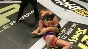 We did not find results for: Mma Miesha Armbar Gif Find On Gifer