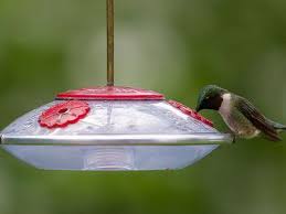 Where Is The Best Place To Hang Hummingbird Feeders Humming Bird Feeders Bird Feeders Feeder