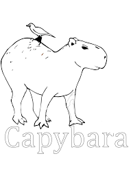 And the truth is, if we do not take into account the size, these animals have a lot in common. Capybara Coloring Pages Download And Print Capybara Coloring Pages