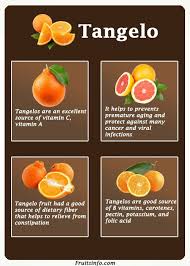 Apple* lady william, artichoke* globe, jerusalem, asian greens* bok choy, choy sum, gai laan, wombok, beans* broad, green, mandarin* ellendale, imperial, murcot, orange* blood, seville, valencia note: Tangelo Fruit Tree Salad Cake Recipe Juice Nutritional Facts Health Benefits