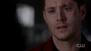 Sliced, Diced, and Cut to Pieces