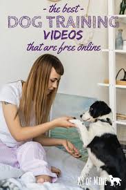 We can hear a lot of stories about how trainers become frustrated with their pets for simply disobeying the command to sit. Best Free Dog Training Videos See Where You Can Access Free Dog Training Videos Online Dogs Dogtrainin Online Dog Training Dog Training Dog Training Videos