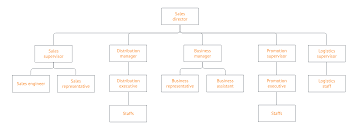 sales organization chart template lucidchart