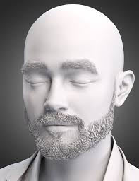 Burt's Beard for Genesis 9 and 8.1 Male