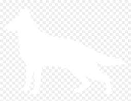 Look at how cute this pup is follow bali@bali_thewhiteshepherd use #gsdstagram to be featured!. German Shepherd Silhouette Transparent Png Clipart German Shepherd Silhouette White Png Download Vhv