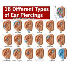 18 Different Types Of Ear Piercings By Wickedbodyjewelz On Polyvore Types Of Ear Piercings Piercings Ear Piercings