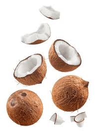 Image result for Cocos