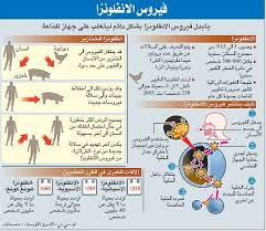 بالصور معلومات عن انفلونزا الخنازير وطرق الوقايه من انفلونزا الخنازير علاج نت