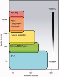 Pin By Rna Seq Blog On Review Publication Gene Expression Expressions Molecular