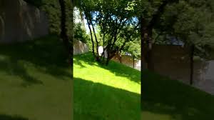 Zniknął dlatego, że wojciech cejrowski nie chciał go wznawiać. Dom Cejrowskiego Youtube