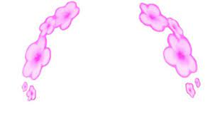 Snapchat Filter Pink Flowers Snapchat Filters Png Snapchat Filters Snapchat
