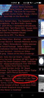 found this on ricebergcharts. are there any supposed evidence this exists  or just a small hoax? : rplayboicarti