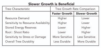 Urban Tree Stress Aspen Arboriculture Aspen Arboriculture