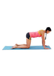 Target body part upward (cat) phase: Cat Cow Inti Tubuh Atau Tubuh Bagian Tengah Punggung Msn Sehat Dan Bugar